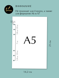 Сменный блок на 6 колец для учителя, А5, 40 листов- фото3