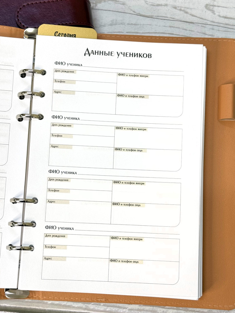 Планер для учителя (бордово-коричневая обложка)- фото4
