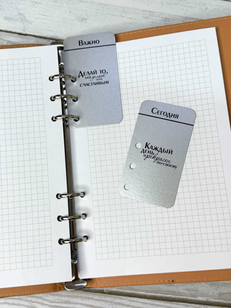 Планер для учителя (черная обложка)- фото9