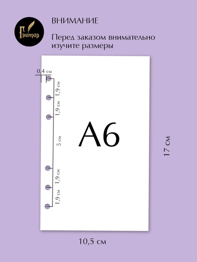 Сменный блок А6 (105х170 мм) на 6 колец Планировщик бюджета- фото3